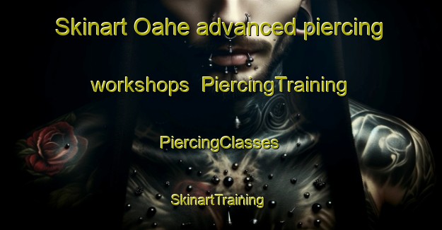 Skinart Oahe advanced piercing workshops | #PiercingTraining #PiercingClasses #SkinartTraining-United States