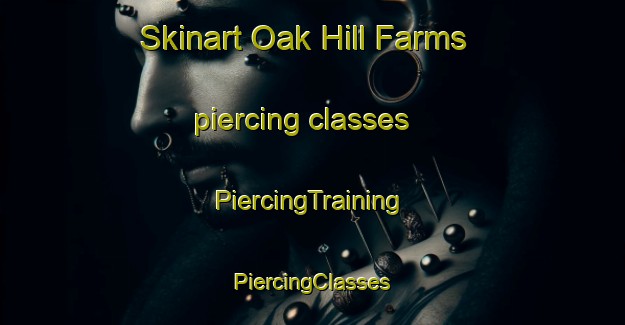 Skinart Oak Hill Farms piercing classes | #PiercingTraining #PiercingClasses #SkinartTraining-United States