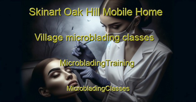 Skinart Oak Hill Mobile Home Village microblading classes | #MicrobladingTraining #MicrobladingClasses #SkinartTraining-United States