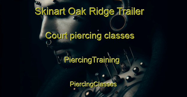 Skinart Oak Ridge Trailer Court piercing classes | #PiercingTraining #PiercingClasses #SkinartTraining-United States