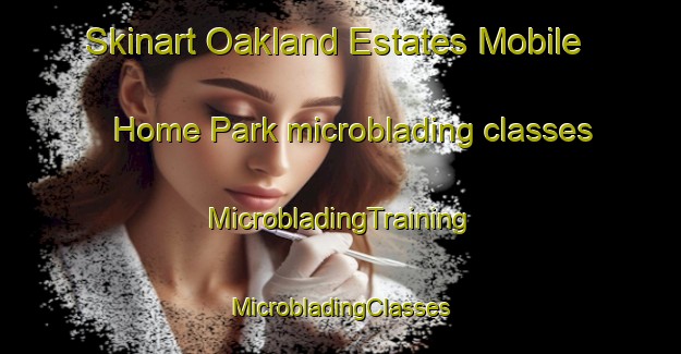 Skinart Oakland Estates Mobile Home Park microblading classes | #MicrobladingTraining #MicrobladingClasses #SkinartTraining-United States