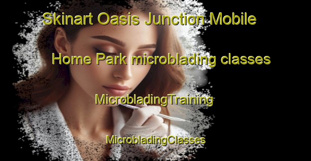 Skinart Oasis Junction Mobile Home Park microblading classes | #MicrobladingTraining #MicrobladingClasses #SkinartTraining-United States