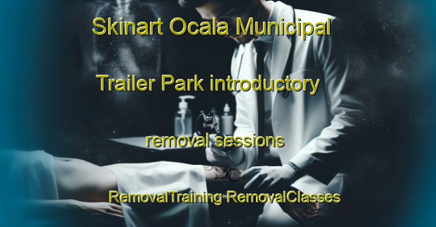 Skinart Ocala Municipal Trailer Park introductory removal sessions | #RemovalTraining #RemovalClasses #SkinartTraining-United States