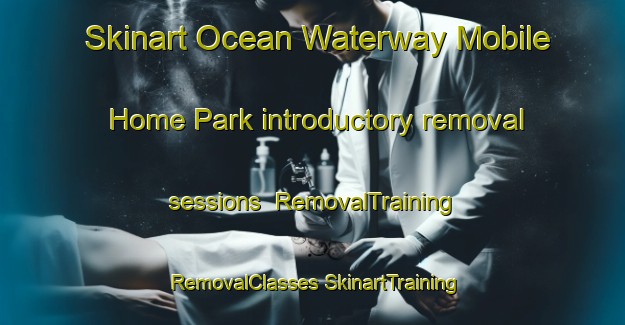 Skinart Ocean Waterway Mobile Home Park introductory removal sessions | #RemovalTraining #RemovalClasses #SkinartTraining-United States