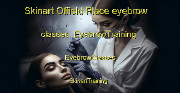 Skinart Offield Place eyebrow classes | EyebrowTraining | EyebrowClasses | SkinartTraining-United States