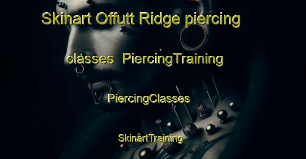 Skinart Offutt Ridge piercing classes | PiercingTraining | PiercingClasses | SkinartTraining-United States