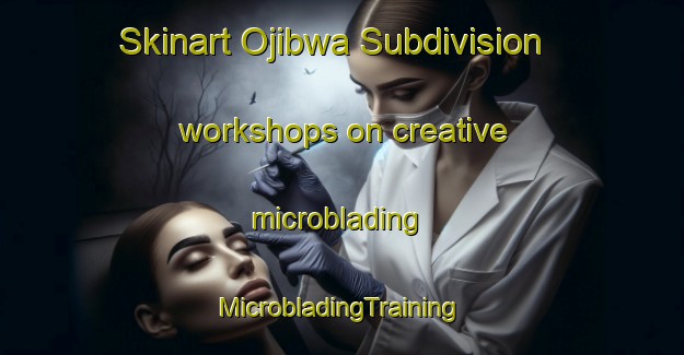 Skinart Ojibwa Subdivision workshops on creative microblading | #MicrobladingTraining #MicrobladingClasses #SkinartTraining-United States