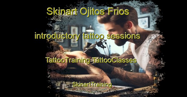 Skinart Ojitos Frios introductory tattoo sessions | #TattooTraining #TattooClasses #SkinartTraining-United States