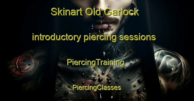 Skinart Old Garlock introductory piercing sessions | #PiercingTraining #PiercingClasses #SkinartTraining-United States