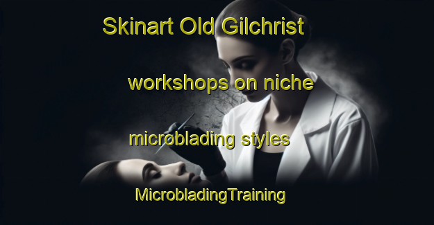 Skinart Old Gilchrist workshops on niche microblading styles | MicrobladingTraining | MicrobladingClasses | SkinartTraining-United States