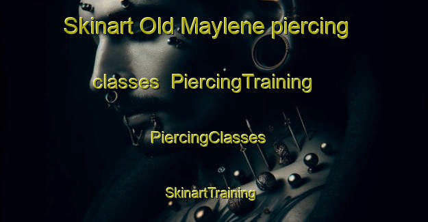 Skinart Old Maylene piercing classes | PiercingTraining | PiercingClasses | SkinartTraining-United States