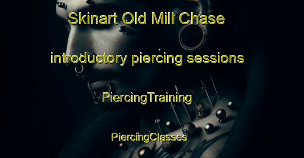 Skinart Old Mill Chase introductory piercing sessions | PiercingTraining | PiercingClasses | SkinartTraining-United States