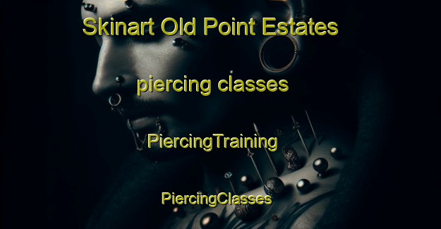 Skinart Old Point Estates piercing classes | PiercingTraining | PiercingClasses | SkinartTraining-United States