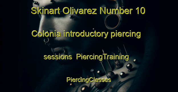 Skinart Olivarez Number 10 Colonia introductory piercing sessions | #PiercingTraining #PiercingClasses #SkinartTraining-United States