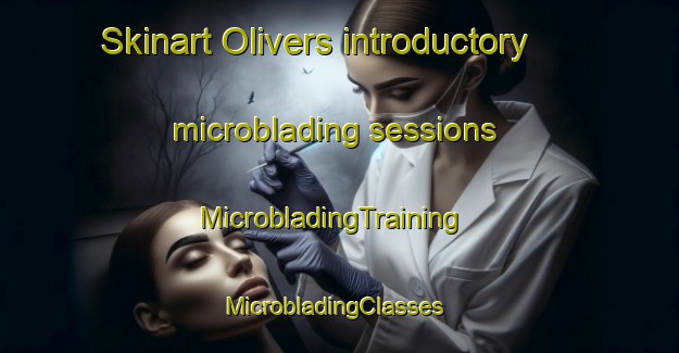 Skinart Olivers introductory microblading sessions | MicrobladingTraining | MicrobladingClasses | SkinartTraining-United States