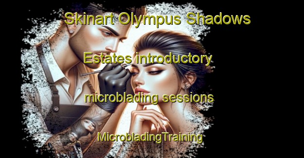 Skinart Olympus Shadows Estates introductory microblading sessions | #MicrobladingTraining #MicrobladingClasses #SkinartTraining-United States