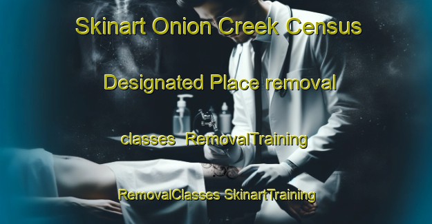 Skinart Onion Creek Census Designated Place removal classes | #RemovalTraining #RemovalClasses #SkinartTraining-United States