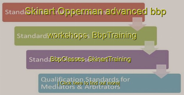 Skinart Opperman advanced bbp workshops | BbpTraining | BbpClasses | SkinartTraining-United States