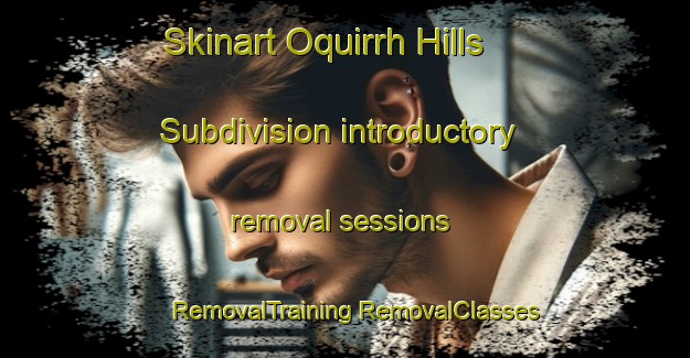 Skinart Oquirrh Hills Subdivision introductory removal sessions | #RemovalTraining #RemovalClasses #SkinartTraining-United States