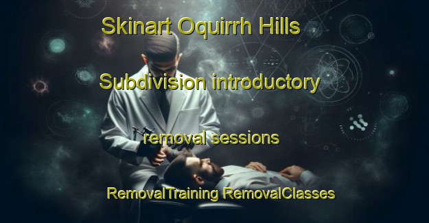 Skinart Oquirrh Hills Subdivision introductory removal sessions | #RemovalTraining #RemovalClasses #SkinartTraining-United States