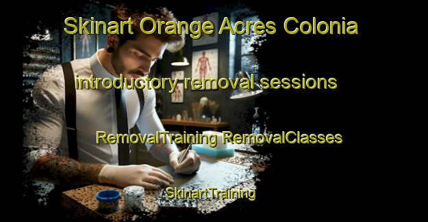 Skinart Orange Acres Colonia introductory removal sessions | #RemovalTraining #RemovalClasses #SkinartTraining-United States