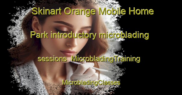 Skinart Orange Mobile Home Park introductory microblading sessions | #MicrobladingTraining #MicrobladingClasses #SkinartTraining-United States