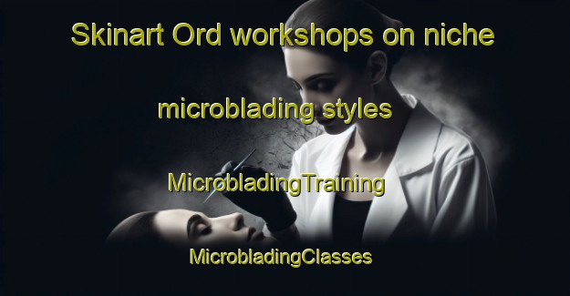 Skinart Ord workshops on niche microblading styles | MicrobladingTraining | MicrobladingClasses | SkinartTraining-United States