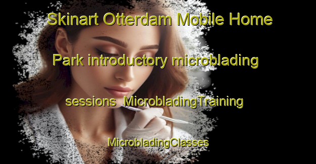 Skinart Otterdam Mobile Home Park introductory microblading sessions | #MicrobladingTraining #MicrobladingClasses #SkinartTraining-United States