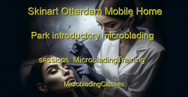 Skinart Otterdam Mobile Home Park introductory microblading sessions | #MicrobladingTraining #MicrobladingClasses #SkinartTraining-United States