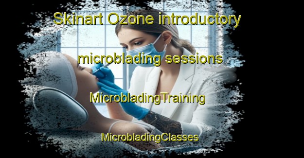 Skinart Ozone introductory microblading sessions | MicrobladingTraining | MicrobladingClasses | SkinartTraining-United States