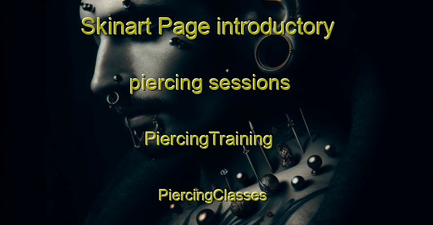Skinart Page introductory piercing sessions | PiercingTraining | PiercingClasses | SkinartTraining-United States