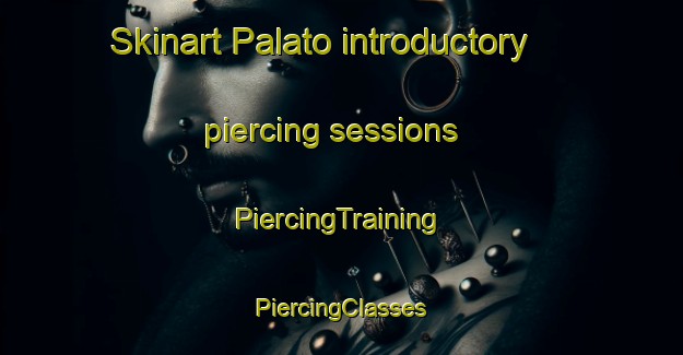 Skinart Palato introductory piercing sessions | #PiercingTraining #PiercingClasses #SkinartTraining-United States