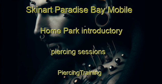 Skinart Paradise Bay Mobile Home Park introductory piercing sessions | #PiercingTraining #PiercingClasses #SkinartTraining-United States