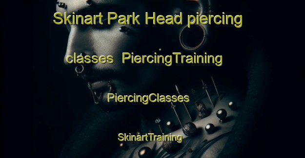 Skinart Park Head piercing classes | PiercingTraining | PiercingClasses | SkinartTraining-United States