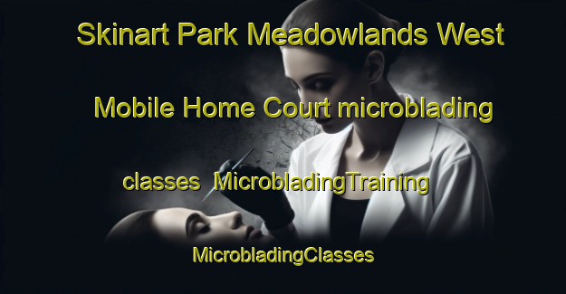 Skinart Park Meadowlands West Mobile Home Court microblading classes | #MicrobladingTraining #MicrobladingClasses #SkinartTraining-United States