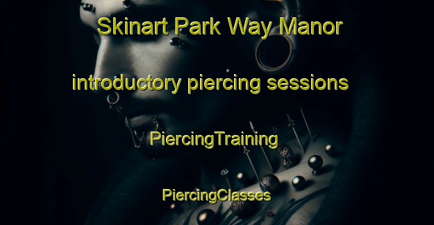 Skinart Park Way Manor introductory piercing sessions | #PiercingTraining #PiercingClasses #SkinartTraining-United States