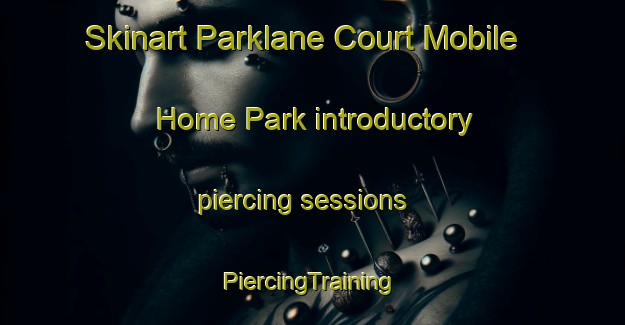 Skinart Parklane Court Mobile Home Park introductory piercing sessions | #PiercingTraining #PiercingClasses #SkinartTraining-United States