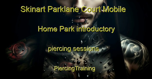 Skinart Parklane Court Mobile Home Park introductory piercing sessions | #PiercingTraining #PiercingClasses #SkinartTraining-United States