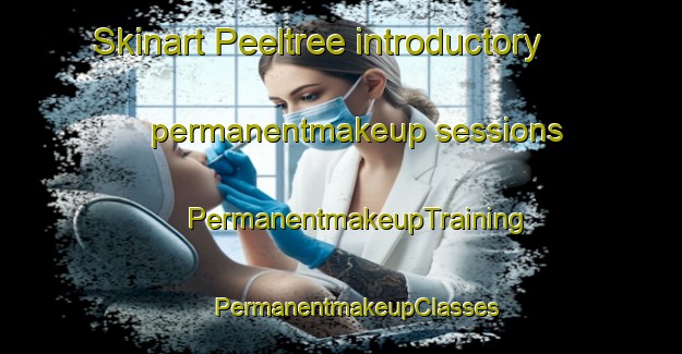 Skinart Peeltree introductory permanentmakeup sessions | #PermanentmakeupTraining #PermanentmakeupClasses #SkinartTraining-United States