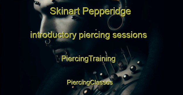 Skinart Pepperidge introductory piercing sessions | PiercingTraining | PiercingClasses | SkinartTraining-United States