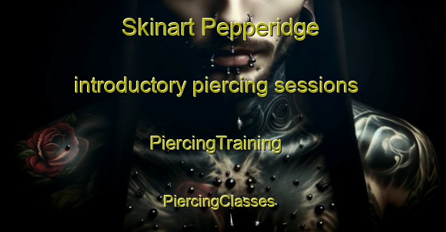 Skinart Pepperidge introductory piercing sessions | PiercingTraining | PiercingClasses | SkinartTraining-United States