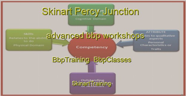 Skinart Percy Junction advanced bbp workshops | BbpTraining | BbpClasses | SkinartTraining-United States