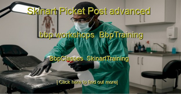 Skinart Picket Post advanced bbp workshops | BbpTraining | BbpClasses | SkinartTraining-United States