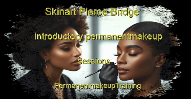 Skinart Pierce Bridge introductory permanentmakeup sessions | PermanentmakeupTraining | PermanentmakeupClasses | SkinartTraining-United States