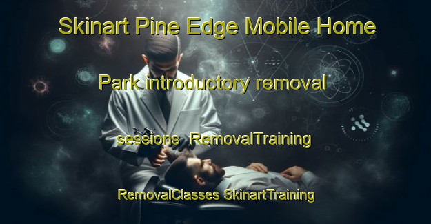 Skinart Pine Edge Mobile Home Park introductory removal sessions | #RemovalTraining #RemovalClasses #SkinartTraining-United States