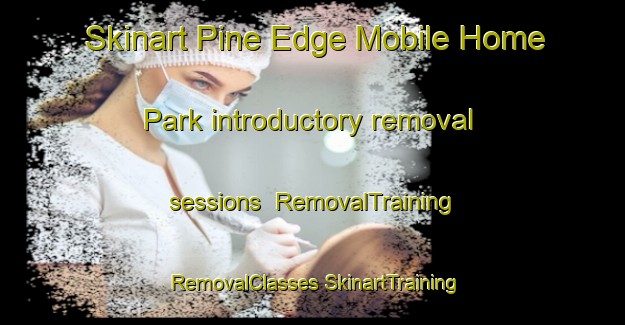 Skinart Pine Edge Mobile Home Park introductory removal sessions | #RemovalTraining #RemovalClasses #SkinartTraining-United States