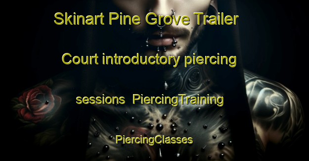 Skinart Pine Grove Trailer Court introductory piercing sessions | #PiercingTraining #PiercingClasses #SkinartTraining-United States