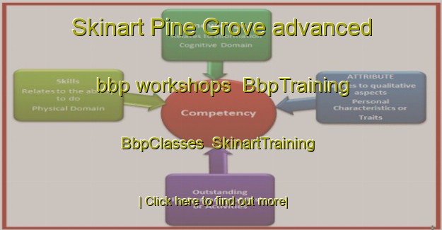 Skinart Pine Grove advanced bbp workshops | BbpTraining | BbpClasses | SkinartTraining-United States