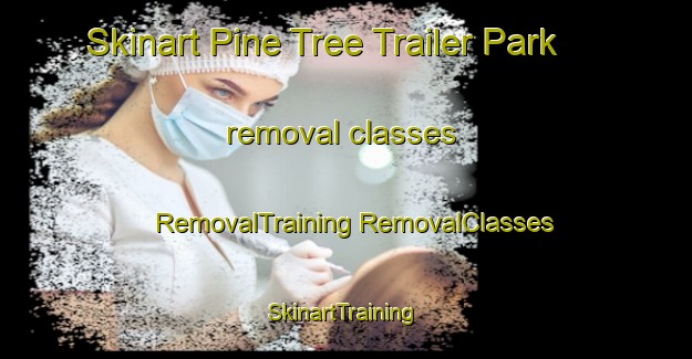 Skinart Pine Tree Trailer Park removal classes | #RemovalTraining #RemovalClasses #SkinartTraining-United States