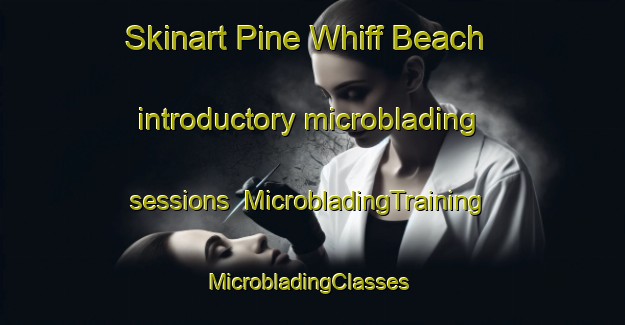 Skinart Pine Whiff Beach introductory microblading sessions | MicrobladingTraining | MicrobladingClasses | SkinartTraining-United States